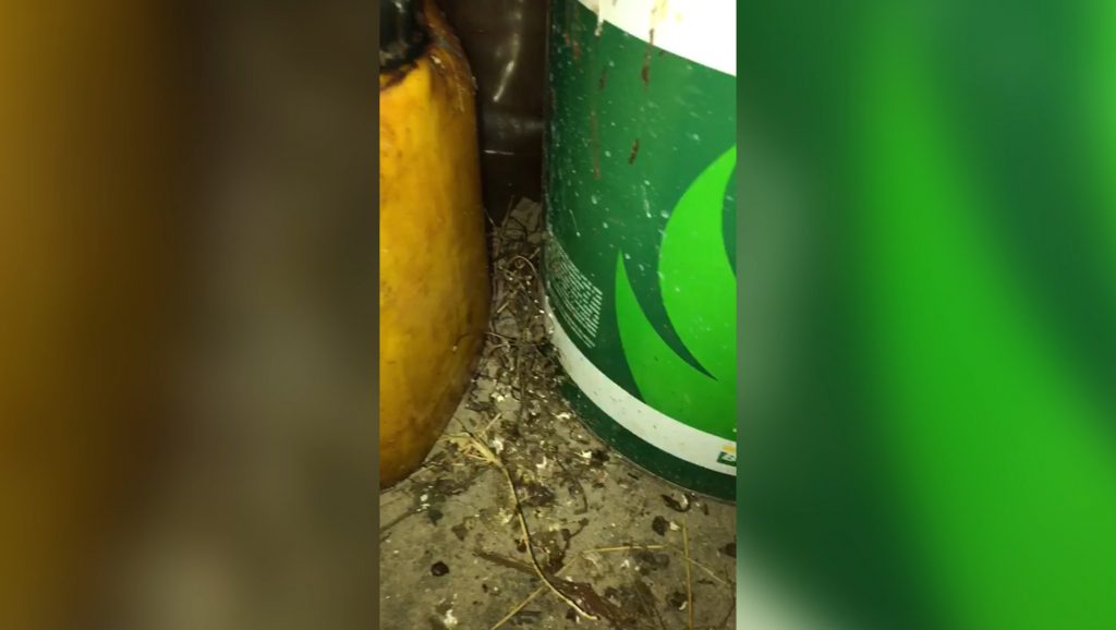 Empresa de alimentos é interditada na Região do Ciro Nardi, após fiscalização da Vigilância Sanitária
