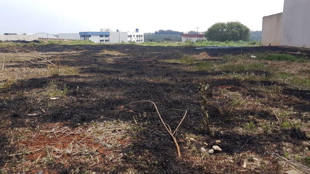 Fogo é ateado em terreno na Avenida Estados Unidos