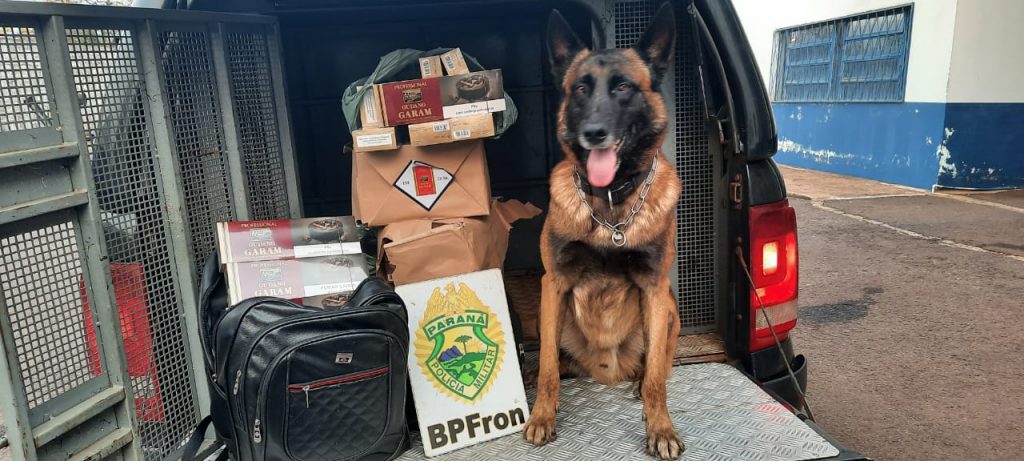 Cigarros contrabandeados são apreendidos pelo BPFron em Cascavel