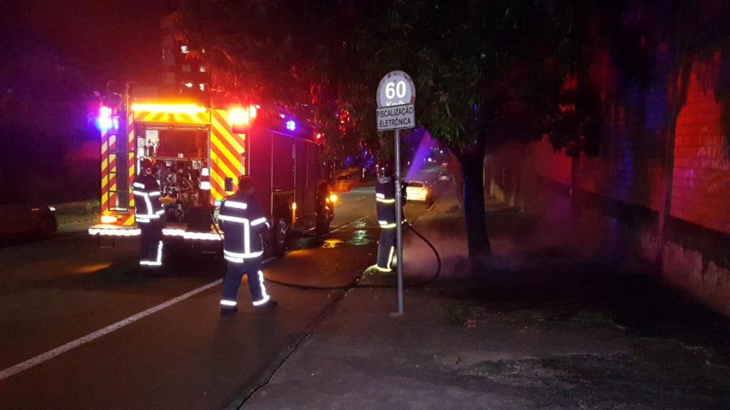 Bombeiros controlam fogo ateado em árvore, no Centro