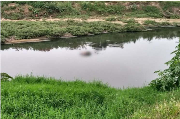 Pedestres levam um susto ao ver corpo boiando no Parque Náutico em Curitiba