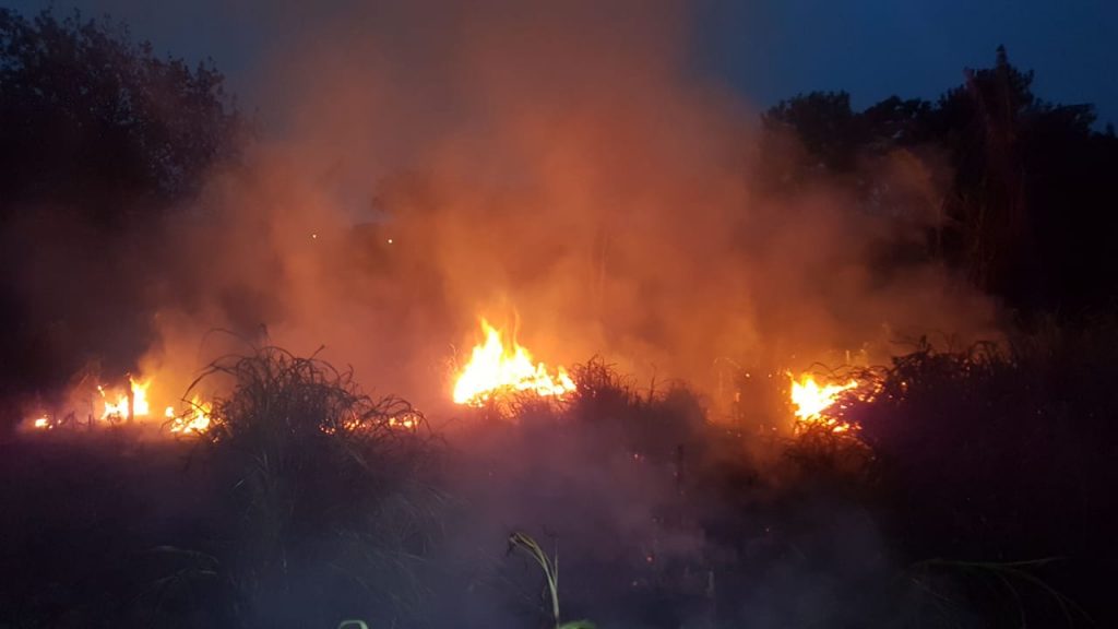 Incêndio atinge área de vegetação no Bairro Cancelli