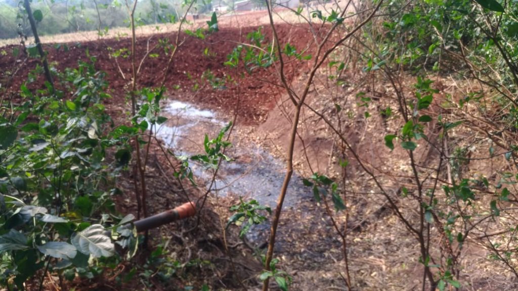 Homem é preso pela Polícia Ambiental ao despejar dejetos suínos em local irregular