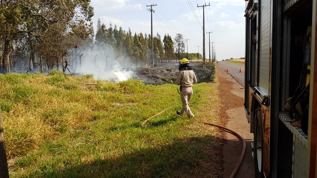 Fogo atinge extensa área de vegetação às margens da PR-180