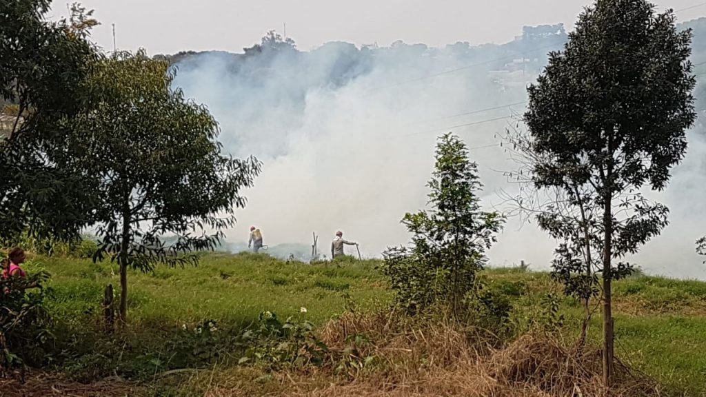 Bombeiros combatem incêndio em área de vegetação no Bairro Brasmadeira