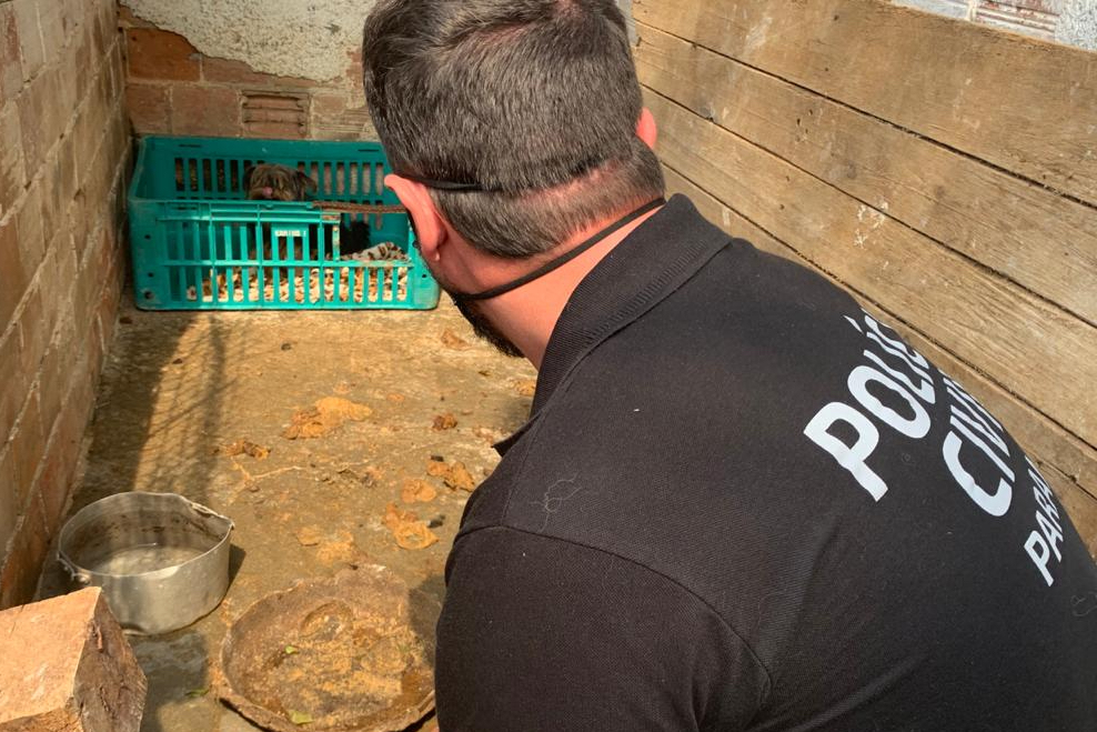 Polícia Civil resgata 197 animais em situação de maus-tratos