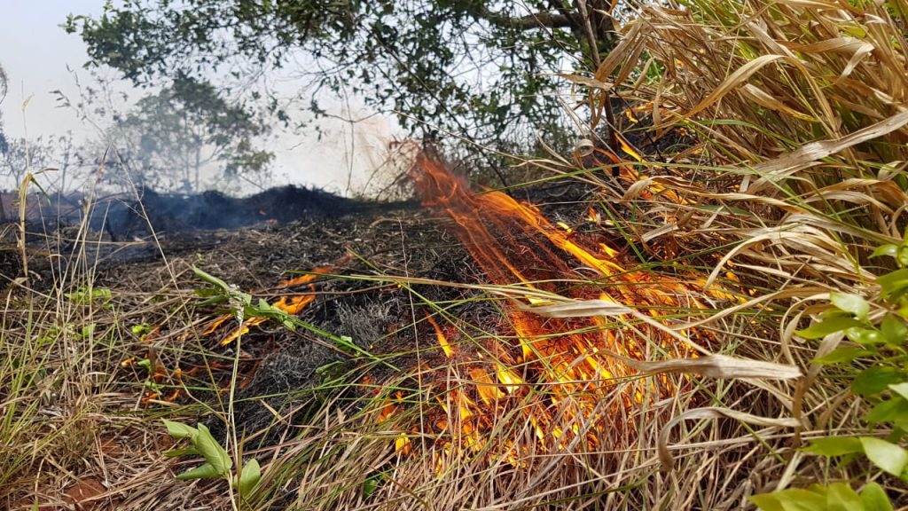 Corpo de Bombeiros é acionado até a PR-180 para conter incêndio ambiental