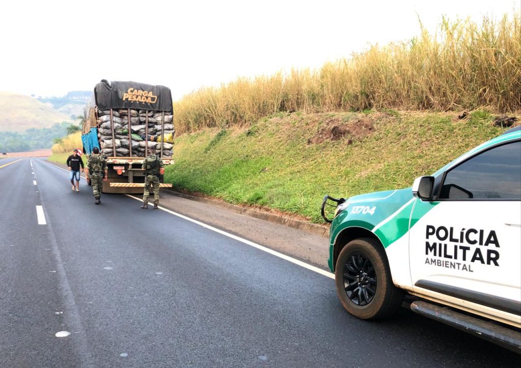 Motorista é multado em quase R$ 50 mil por transporte irregular de carvão