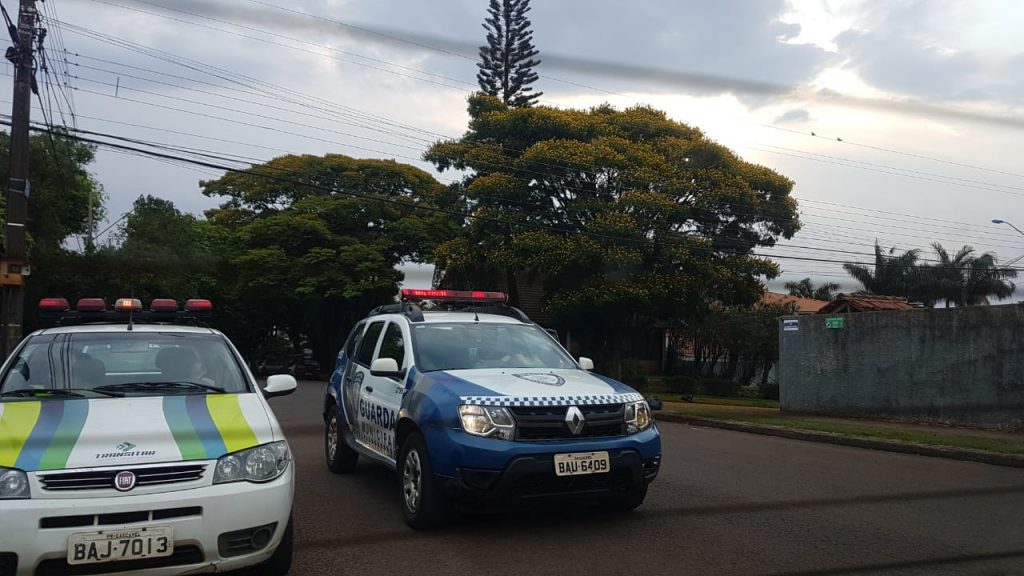 Abelhas causam transtornos e quadra precisa ser interditada no Country
