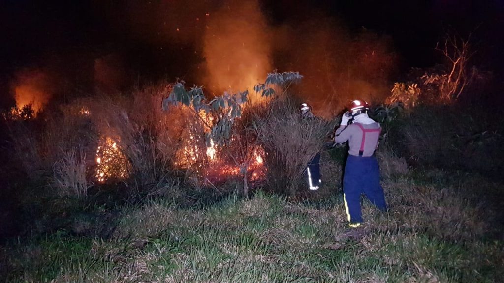 Incêndio de grandes proporções atinge área de vegetação no Cascavel Velho