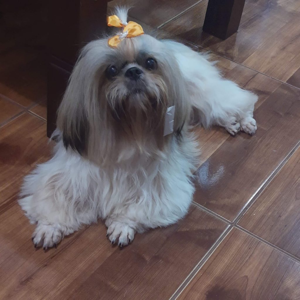 Lunna fugiu de casa no Parque Verde