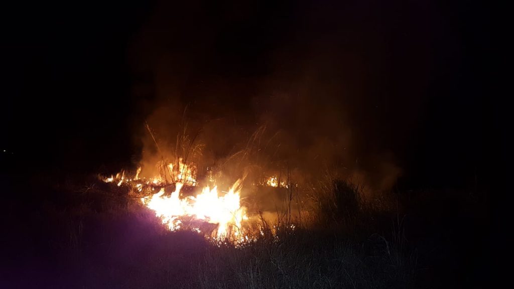 Incêndio atinge área de vegetação no Bairro Floresta