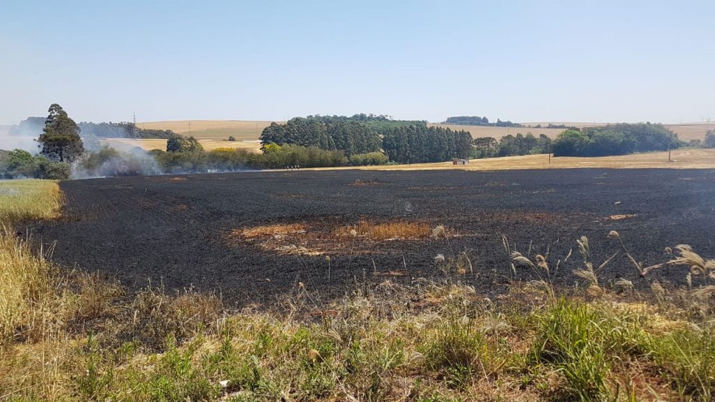 Bombeiros combatem incêndio em vegetação na Av. Piquiri Bombeiros combatem incêndio em vegetação na Av. Piquiri