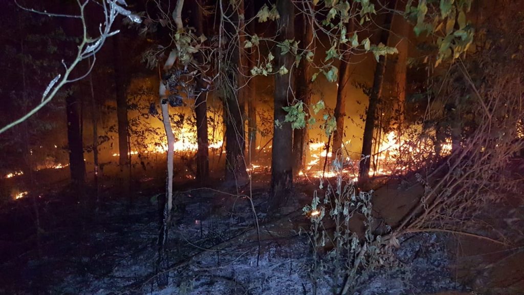 Grande área de vegetação é consumida por incêndio na região do Bairro Interlagos