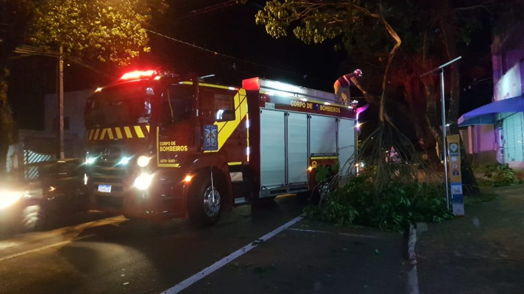 Galho de árvore cai e atinge fiação no Centro
