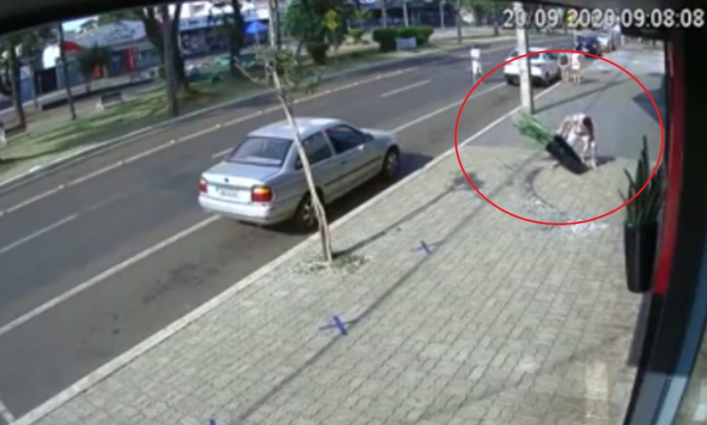Bela atitude! Loja tenta localizar homem que ergueu vaso que havia sido derrubado por vândalo Bela atitude! Loja tenta localizar homem que ergueu vaso que havia sido derrubado por vândalo