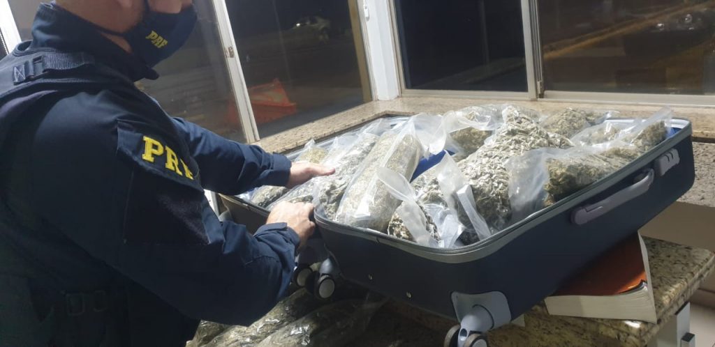 PRF prende mulher que transportava 16 kg de skunk em Santa Terezinha de Itaipu