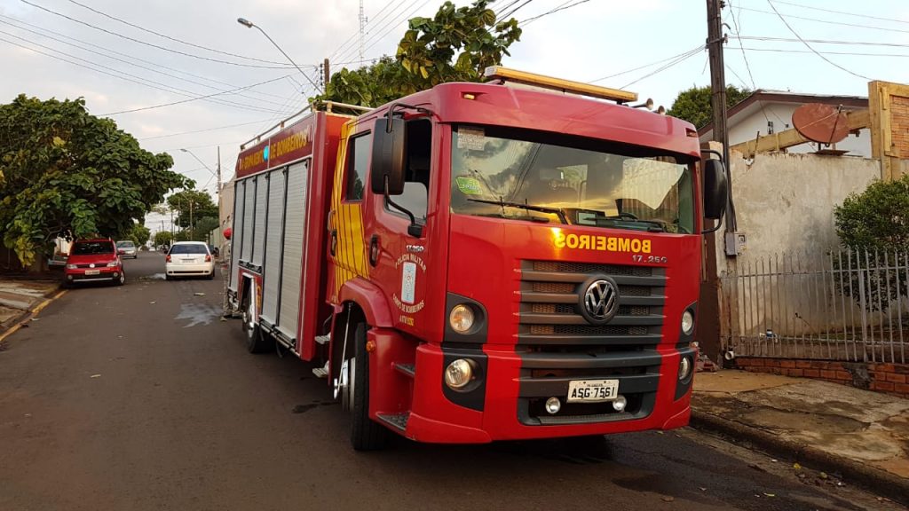 Bombeiros fazem corte de árvore na Rua João de Barro, no Floresta