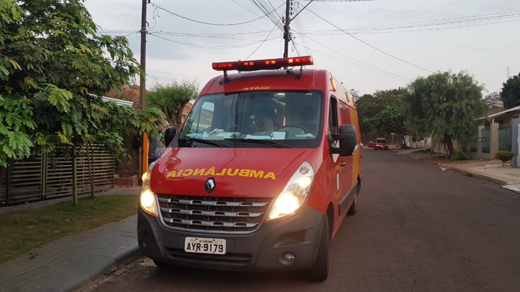 Criança é atacada por cachorro no Paulo Godoy