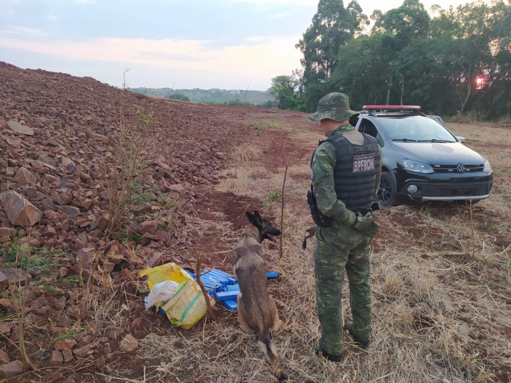 Cães farejadores localizam 25 tabletes de maconha em Marechal Cândido Rondon
