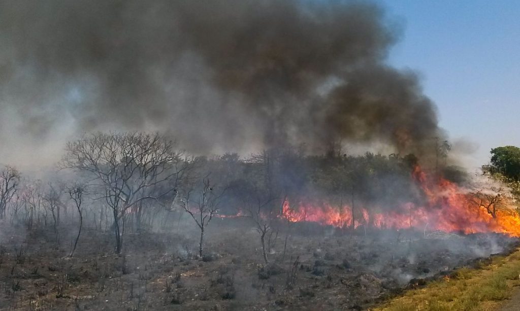 Incêndio de grandes proporções atinge Parque de Ibitipoca, em Minas