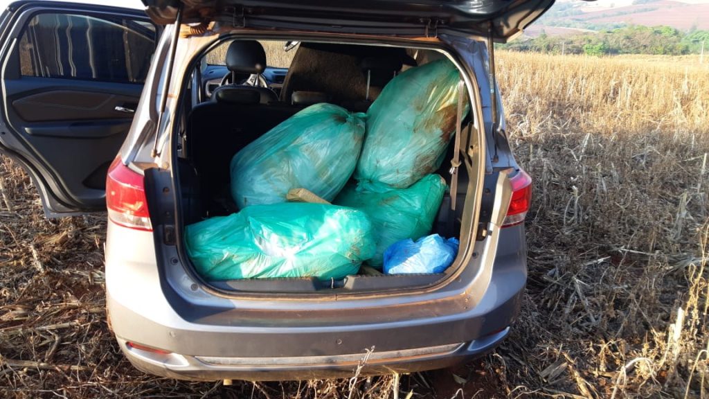 PRF apreende mais de 200 quilos de maconha em Marechal Cândido Rondon PRF apreende mais de 200 quilos de maconha em Marechal Cândido Rondon