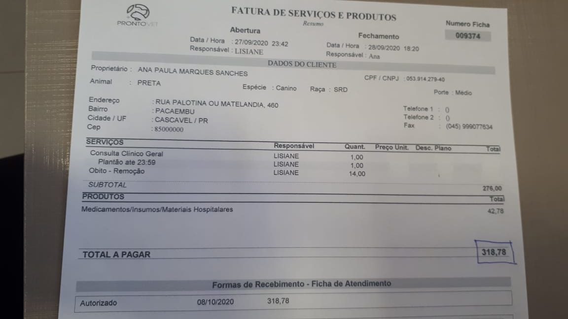 Homem pede ajuda para pagar cirurgia de animal de rua que foi atropelado Imagem referente a Homem pede ajuda para pagar cirurgia de animal de rua que foi atropelado