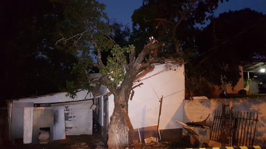Bombeiros cortam árvore que caiu em residência na Rua Pio XII