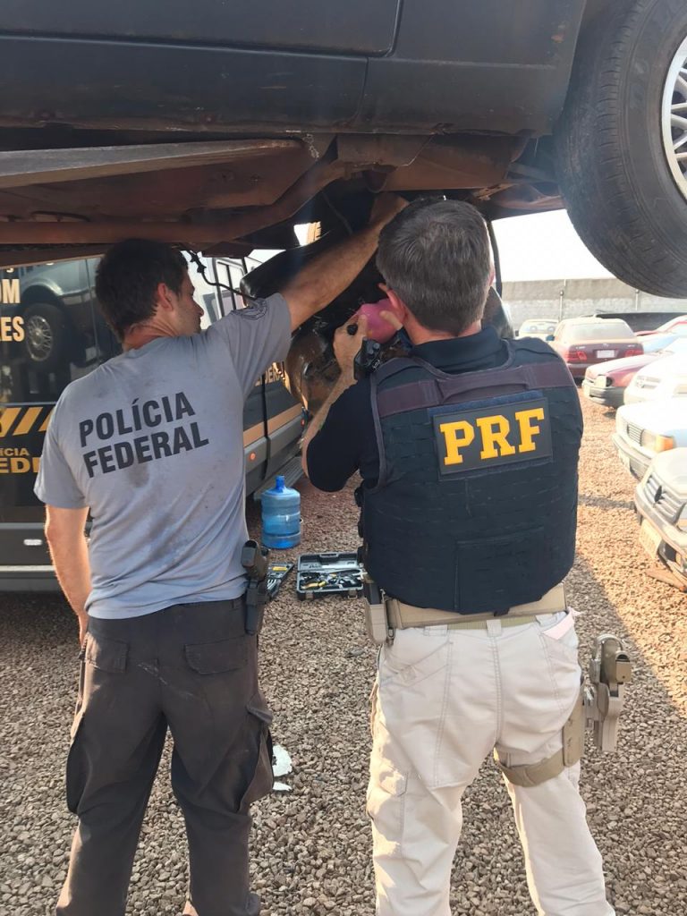 Cães farejadores localizam maconha escondida em tanque de combustível
