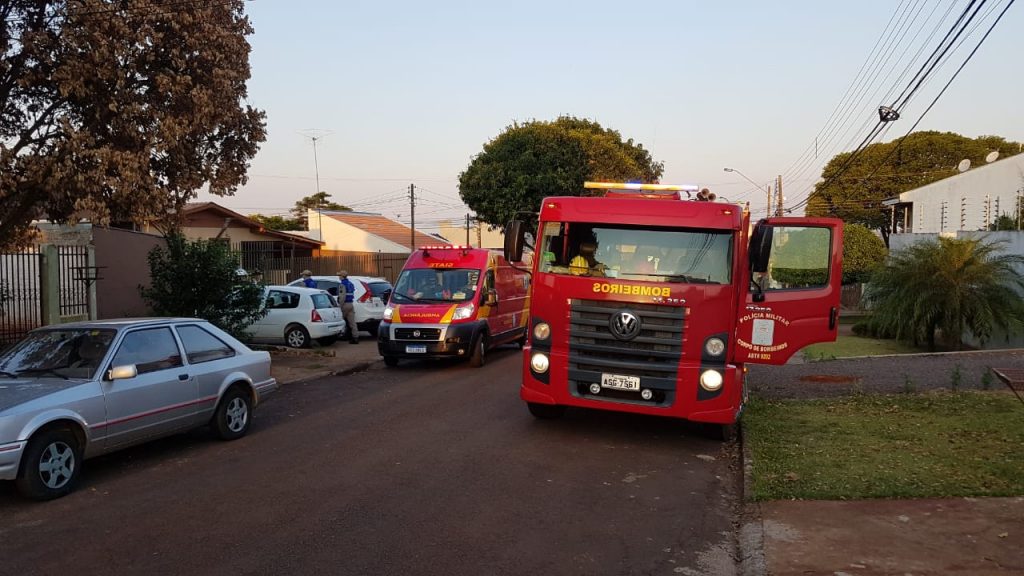 Homem leva cerca de 50 picadas de abelha no Bairro São Cristóvão