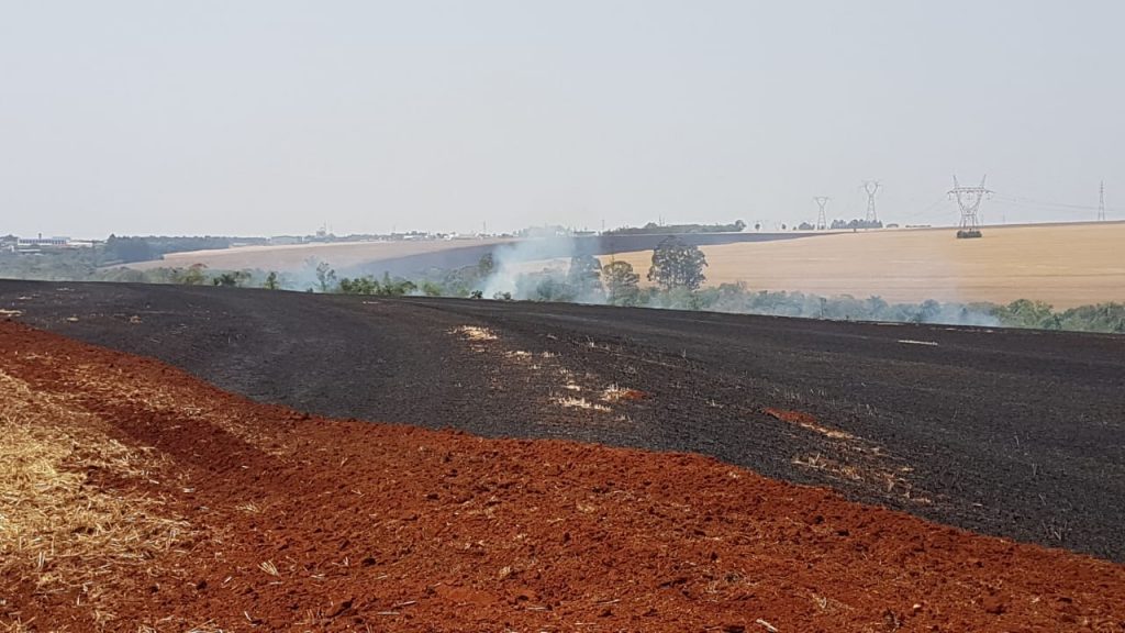 Incêndio em vegetação é registrado na BR-163, em Cascavel