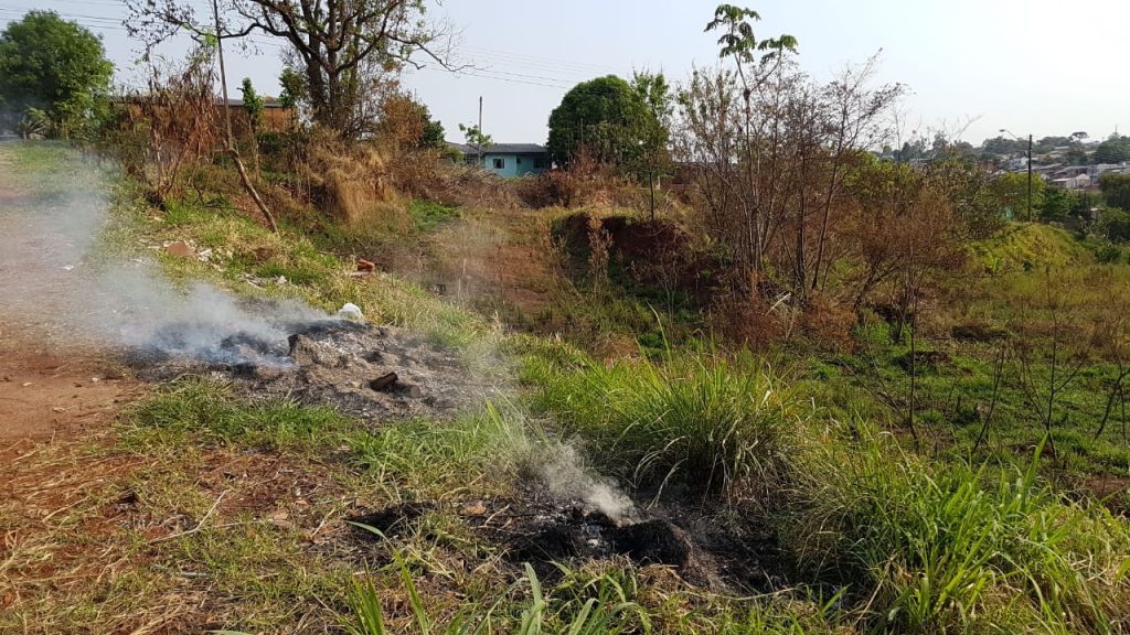 Moradores acionam Bombeiros para apagar chamas em área de vegetação no Morumbi
