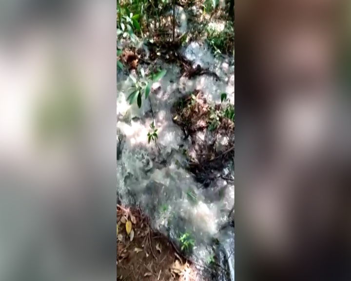Esgoto desagua em rio no Angra dos Reis e morador reclama