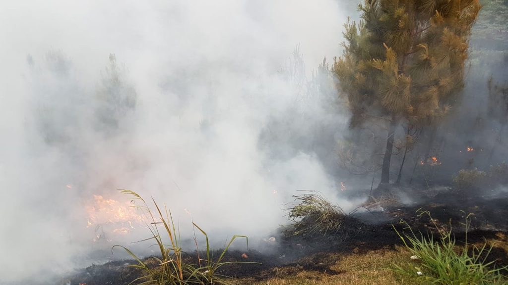 Incêndio atinge extensa área no Florais do Paraná