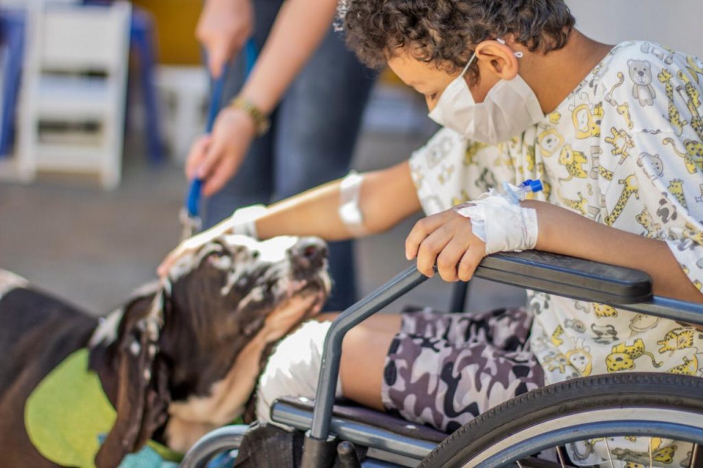 Huop dá início ao projeto ‘Cãoterapia’ na programação da Semana da Criança