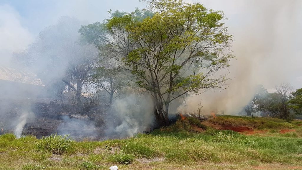 Incêndio ambiental é registrado perto de escola no Bairro Morumbi
