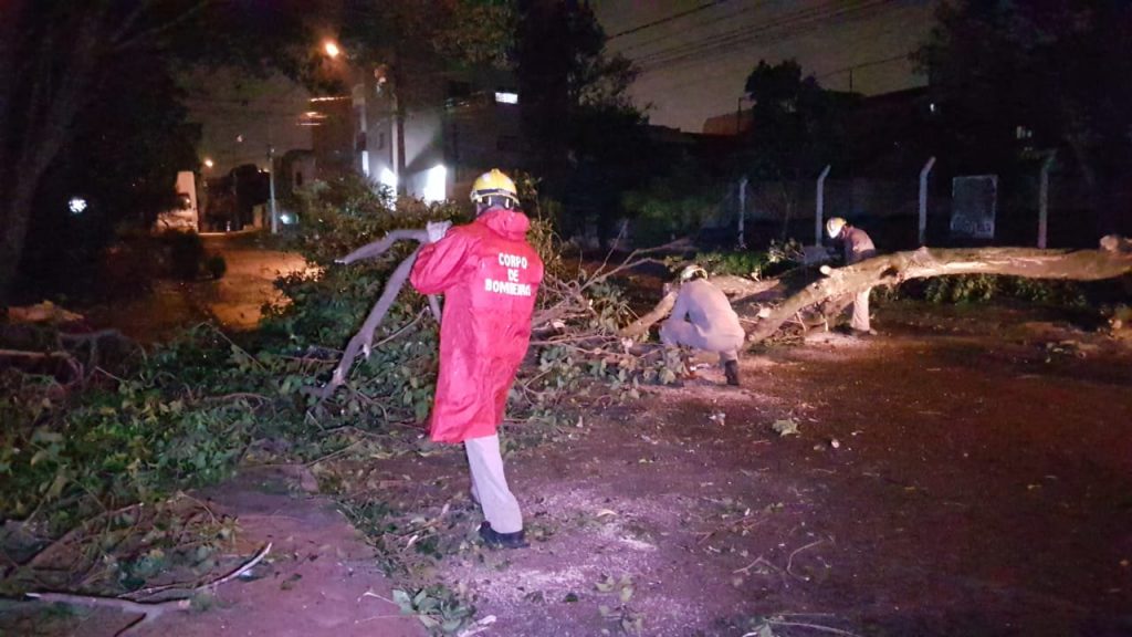Árvore cai e interdita a Rua Natal, no Centro