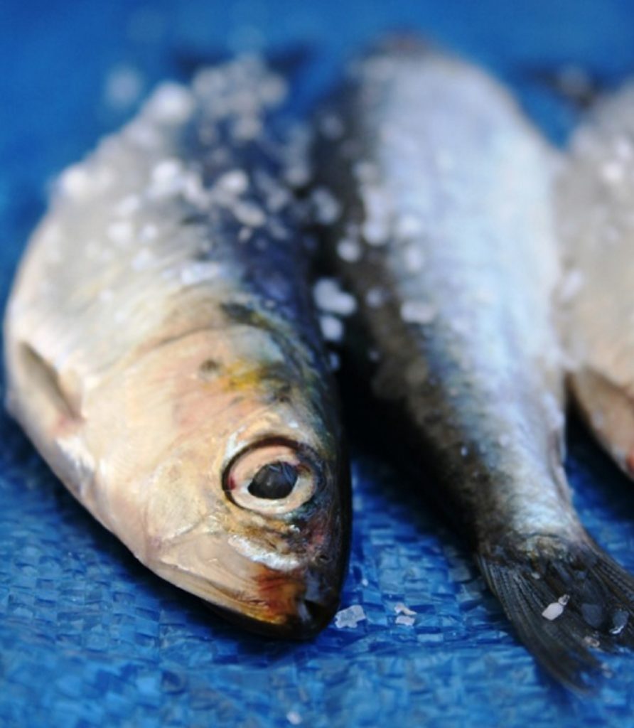 Mulher encontra ‘corpo estranho’ em lata de sardinha e processa a fabricante