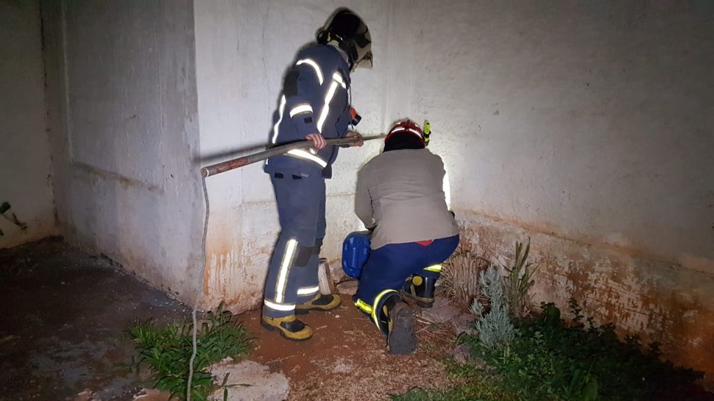 Ouriço é capturado em condomínio no Bairro Coqueiral