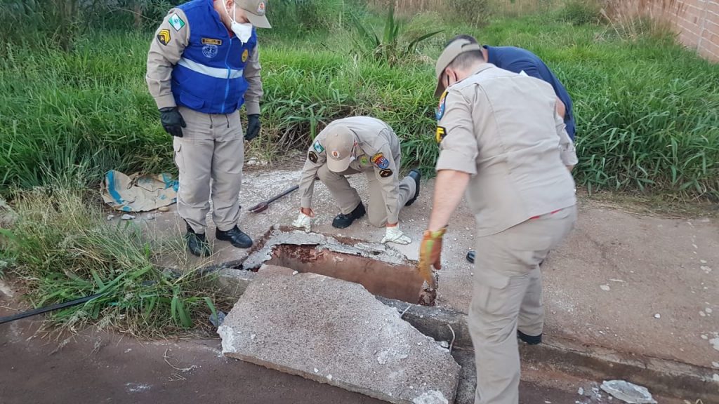 Após cair em bueiro, filhote é resgatado pelos Bombeiros no Jd. Veneza
