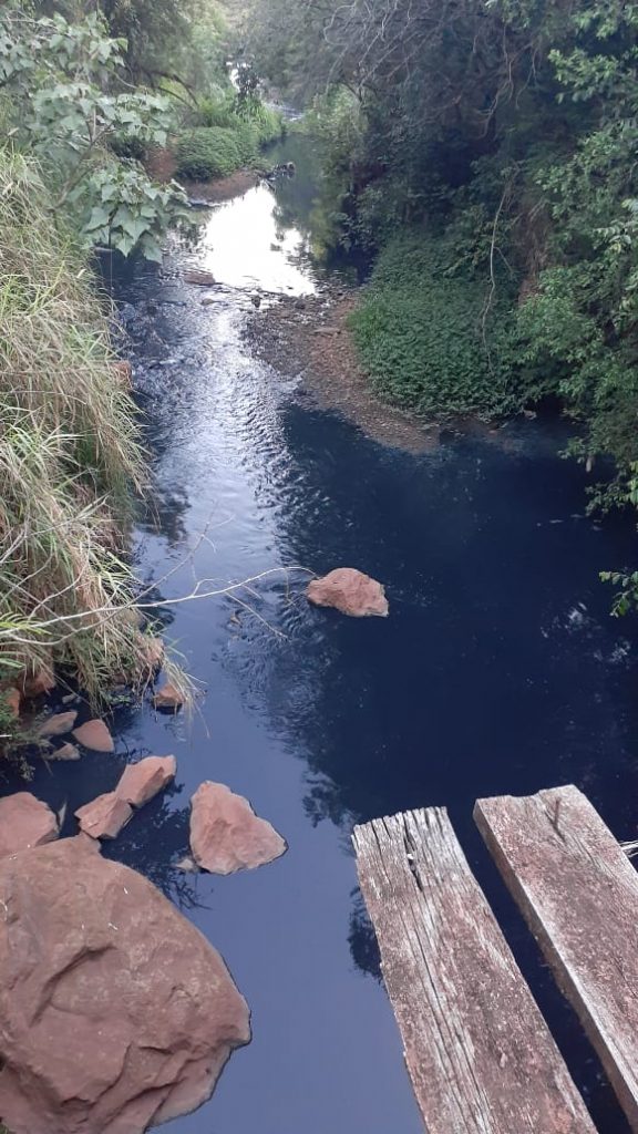 Moradores reclamam de mau cheiro próximo de Rio no Bairro Parque Verde