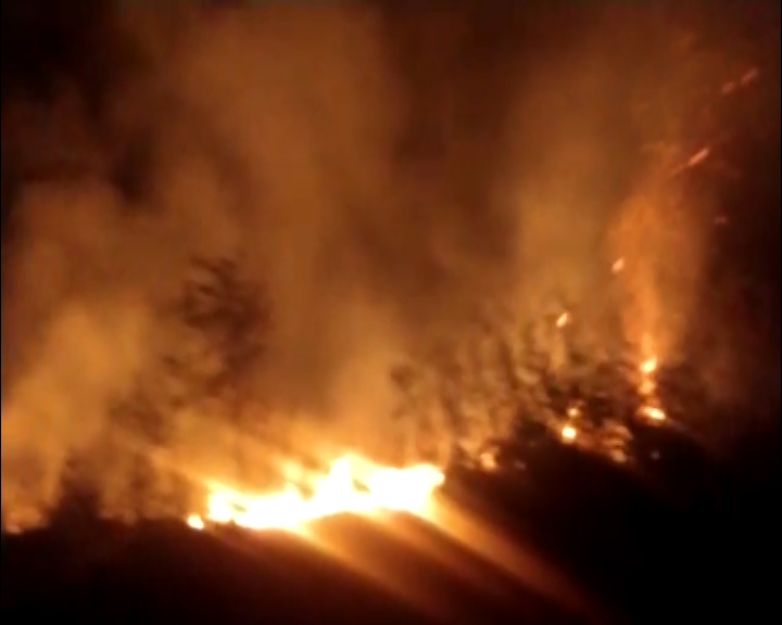Incêndio atinge área de vegetação no Bairro Universitário