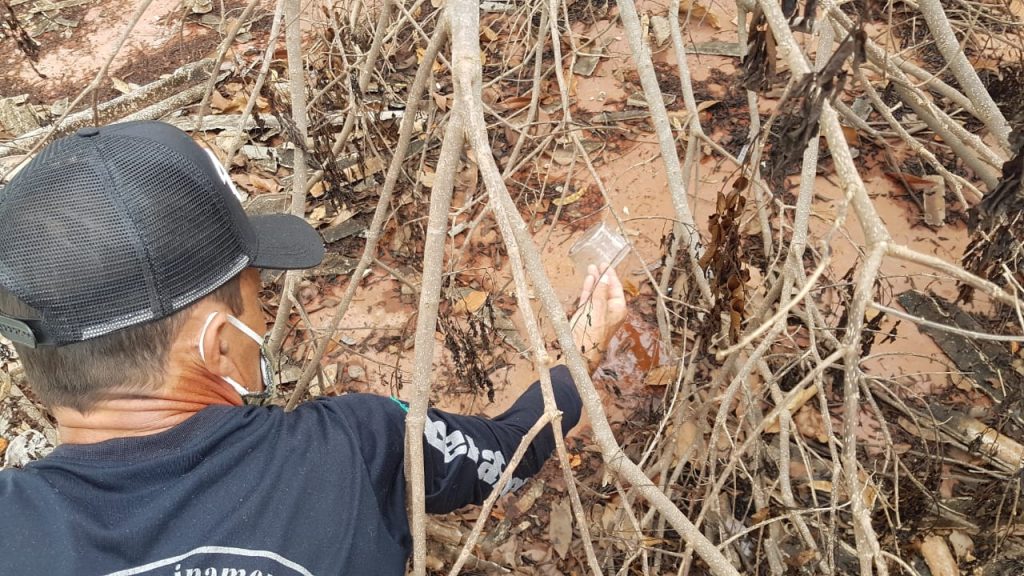 Morador do Bairro Morumbi reclama de mato e focos de Dengue em imóvel abandonado