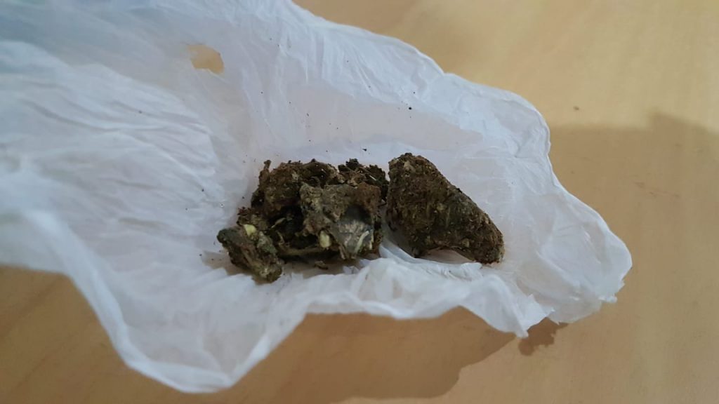Menor é flagrado com porções de maconha no Conjunto Gralha Azul