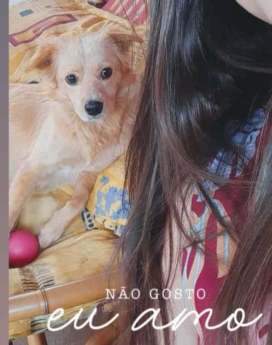Mel desapareceu no Bairro XIV de Novembro