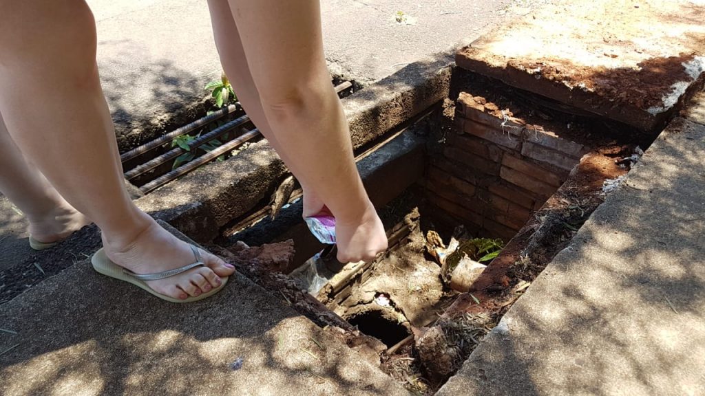 Gatos caem em bueiro no Bairro Universitário