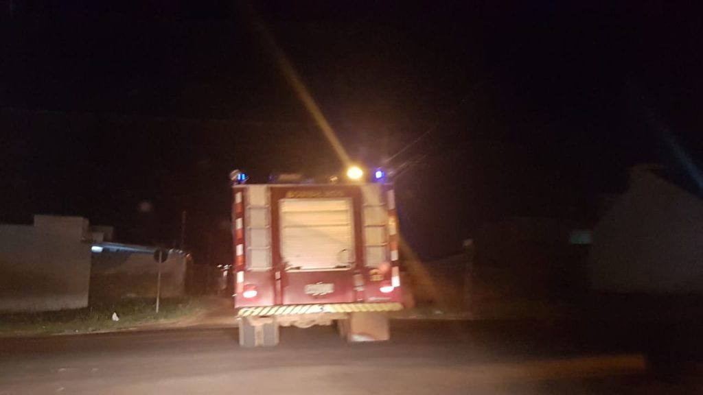 Bombeiros resgatam gato no Riviera