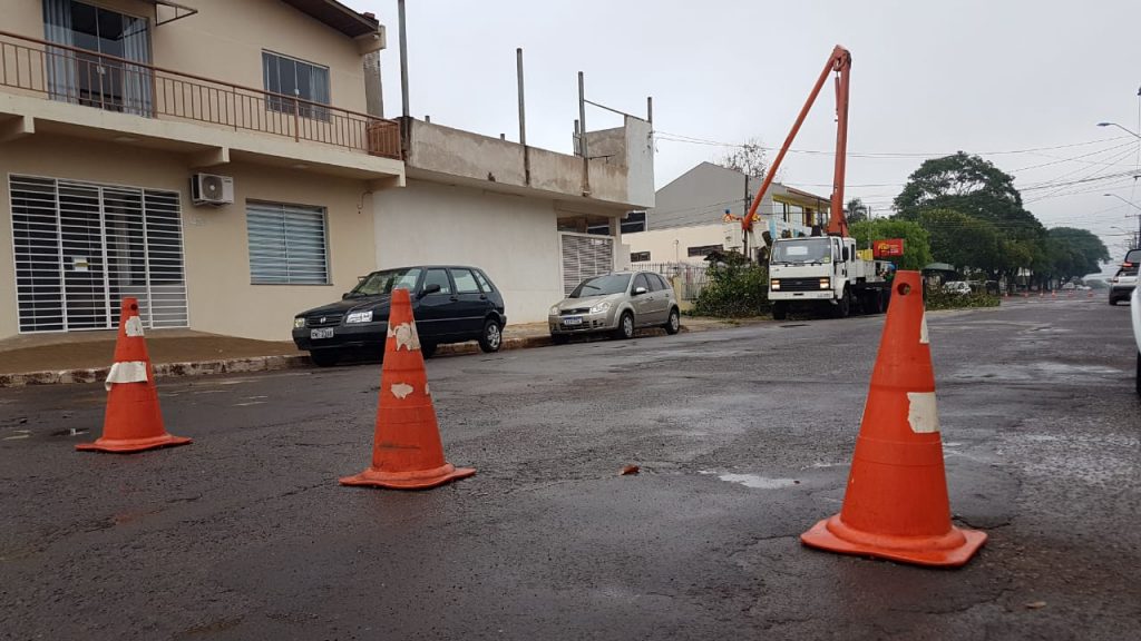 Árvore cai na Rua General Osório, no Parque São Paulo e via é interditada