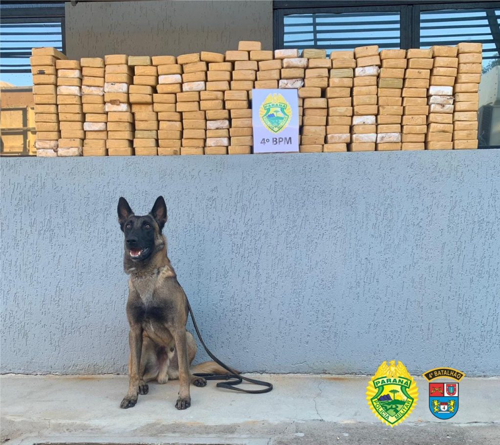 PM apreende mais de 200 quilos de crack e sete pessoas acabam presas