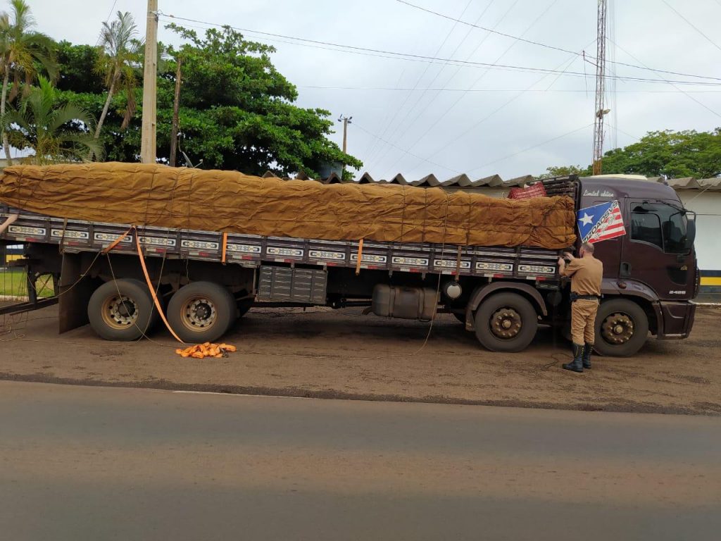 BPRv apreende quase 5,5 toneladas de maconha meio a carga de milho no Oeste do estado